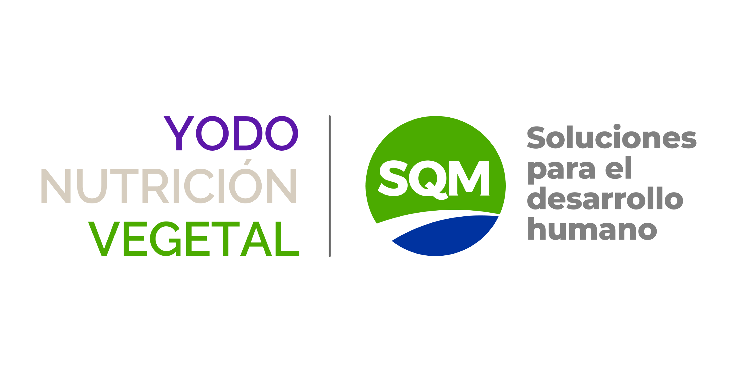 LOGO-SQM